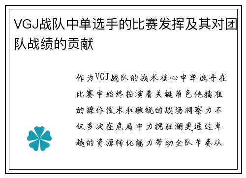 VGJ战队中单选手的比赛发挥及其对团队战绩的贡献