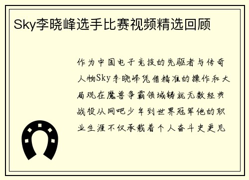 Sky李晓峰选手比赛视频精选回顾
